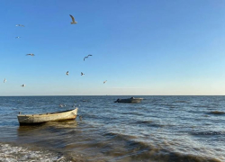 Соли станет меньше: Таганрогский залив не превратится в Чёрное море к 2050 году