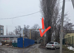 "Поход туда подобен смерти!": таганрожцы возмущены запущенной территорией у рентген-кабинета на Толбухина