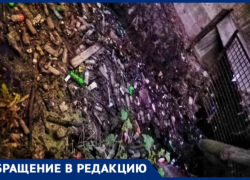  Таганроженку повергло в шок, увиденное в роще «Дубки»