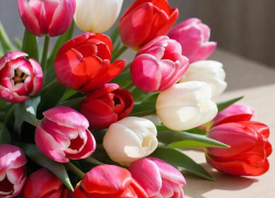 Флорист из Таганрога поделилась лайфхаком, как продлить жизнь подаренного букета до трех недель