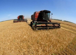 В Неклиновском  районе продолжается уборка поздних культур