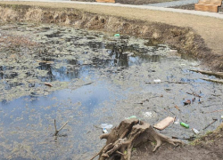 Администрация Таганрога пообещала летом почистить озеро в роще Дубки 