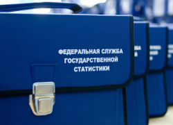 Таганрожцев  перепишут пробно с помощью портала госуслуг