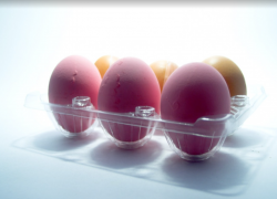 В России объявили о скором запрете пластиковой упаковки, мнения таганрожцев разделились 