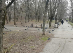 Со второй попытки сделаем? Администрация Таганрога вновь обещает сквер жителям Северного 