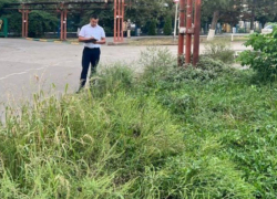 Таганрогские сорняки «прославились» на всю Ростовскую область