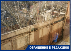 Компания «Вилант» взяла аванс 40 тысяч с таганроженки и два месяца кормит ее «завтраками»