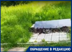 «Построили мемориал в Самбеке и другие стали не нужны», - Петрушинская балка благодаря предпринимателю Левицкому поросла травой