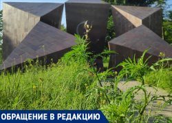 Романтичный бурьян в сквере "Звезда" возмутил таганрожца 