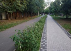 Таганрожцы, «справа – дорожка ходить пешком, слева - велодорожка»