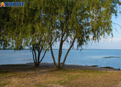 Таганрог: прогноз погоды на выходные дни 5 и 6 августа