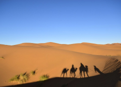 Таганрожцам ещё пустыни Сахары не хватает