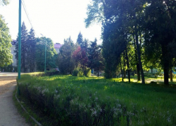 Погода в Таганроге на 5 дней: к нам придет тепло