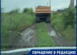 Мусор под контролем: горожане фотографируют нарушителей, захламляющих лесополосу