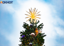 «Зимний праздник Йоль и новогодняя ёлка: есть ли связь?» - рассказываем таганрожцам