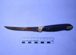 Житель города Таганрога признан судом виновным в совершении убийства человека