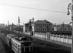 Редкое фото Таганрога показало, как важно заниматься озеленением города