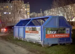 Таганрожцы могут сдать елки в переработку