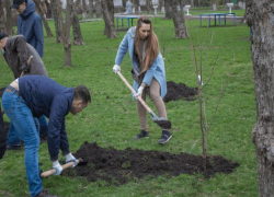 День древонасаждения подарит таганрожцам более 1200 деревьев и кустаринков