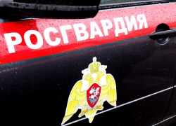 Росгвардейцы Таганрога поймали пьяного водителя, который пытался сбежать