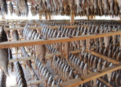 В Таганроге и окрестностях производили опасную для жизни продукцию