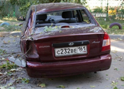 Дерево в Таганроге упало и разбило сразу две машины