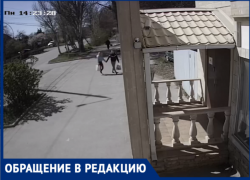 Еще один «герой» Таганрога – зачем мусорные баки? Брошу пакет через забор