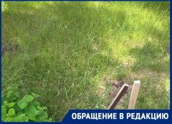 В Таганроге очередная детская площадка превращается в пустырь