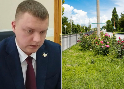 21 млн потратят на цветочное оформление Таганрога