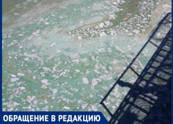 «Весь покрылся зеленью, абсолютно весь»: пятна на поверхности Таганрогского залива беспокоят горожан