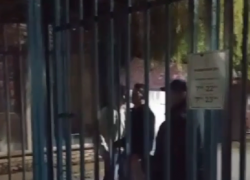 Теперь и Приморский парк в Таганроге работает по расписанию