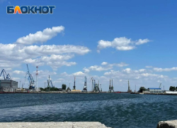 На 127 миллионов уменьшилась цена продающегося погрузочного терминала Таганрога 
