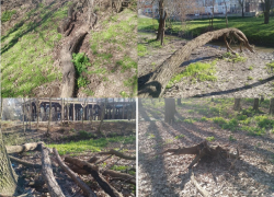 Ветки, корни и завалы: жители «Дубков» оценили результаты мартовского субботника