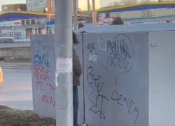 «Хорошо быть кошкою, хорошо собакою, но есть ли оправдание людям?» - спрашивают таганрожцы 