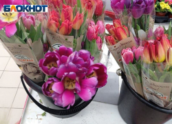 Цветочный бум: в Таганроге вместо ожидаемого роста на 50% цены взлетают до 30%