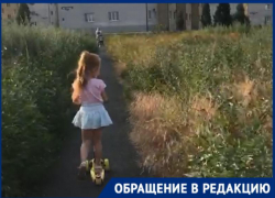 Амброзия выше головы в Северном микрорайоне Таганрога