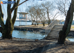 24 февраля — Коровий праздник: почему в этот день нельзя обижать животных и нужно накрывать стол