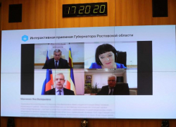 Многодетная мама из села под Таганрогом попросила губернатора решить дорожный вопрос