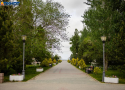 Какую погоду ждать таганрожцам в последние выходные лета?