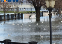 Таганрожцам напоминают о правилах поведения при подтоплении