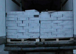 20 тонн санкционной мойвы уничтожили после задержания на таганрогской таможне 