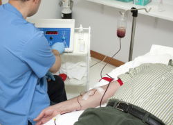 В Таганроге стало больше клещей, а в области диагностировали геморрагическую лихорадку в двух районах 