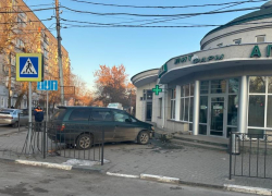 В Таганроге ДТП из-за бездомной собаки 