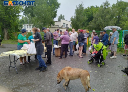 «Судьба – злодейка, а жизнь – копейка»: кому на Руси жить нехорошо