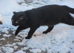 Никаких отмазок: глава города обязала работать УК все праздники, но таганрожцы этому не верят