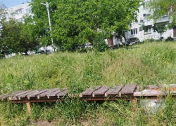 Трава по пояс: таганрожцы жалуются на джунгли у 30-й школы