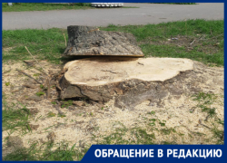 Под видом благоустройства в Таганроге уничтожается зеленый сквер