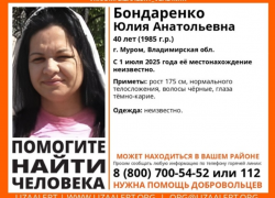 Женщину из Мурома ищут в Ростовской области