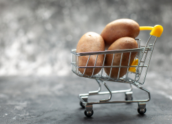 Яйца дешевеют, а борщевой набор бьёт по карману: как изменились цены в Таганроге за год