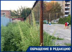 Спорт не для масс?: таганрожцы просят привести в порядок площадку на Ломоносова